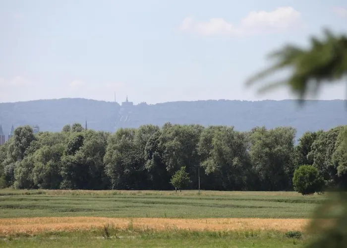 Art City-studios 6 Und 9 Mit 2 Schlafzimmern, Gross, Modern, Citynah, Kostenfreie Parkplaetze, Sued-balkons, Ruhig, Herkulesblick, Voll Ausgestattet * קאסל